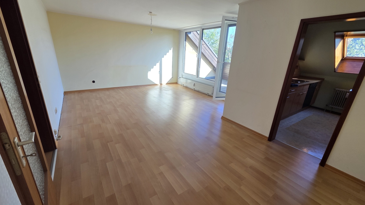 Wohnzimmer / Balkon